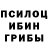 Псилоцибиновые грибы Cubensis PhuongLinh LeHoang