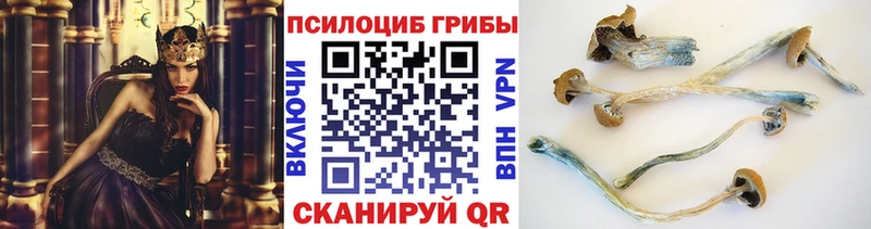 Псилоцибиновые грибы MAGIC MUSHROOMS  Чусовой 
