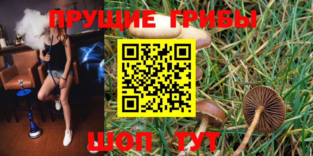Чусовой  Псилоцибиновые грибы прущие грибы  Вход с VPN  Галлюциногенные грибы мицелий 