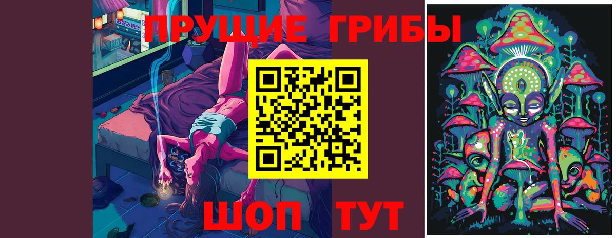 Псилоцибиновые грибы GOLDEN TEACHER Чусовой